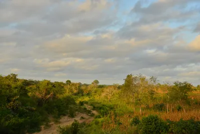 DSC_4333 (Large).JPG